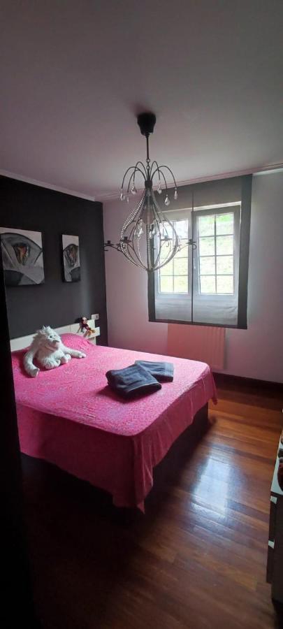 Nala House, Acogedor,Bien Comunicado,Aparcamiento Gratis En La Calle Bilbao Esterno foto
